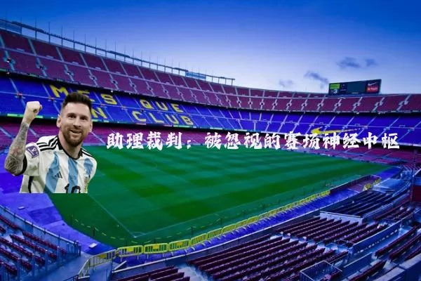助理裁判：被忽视的赛场神经中枢